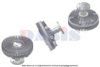 AKS DASIS 138880N Clutch, radiator fan
